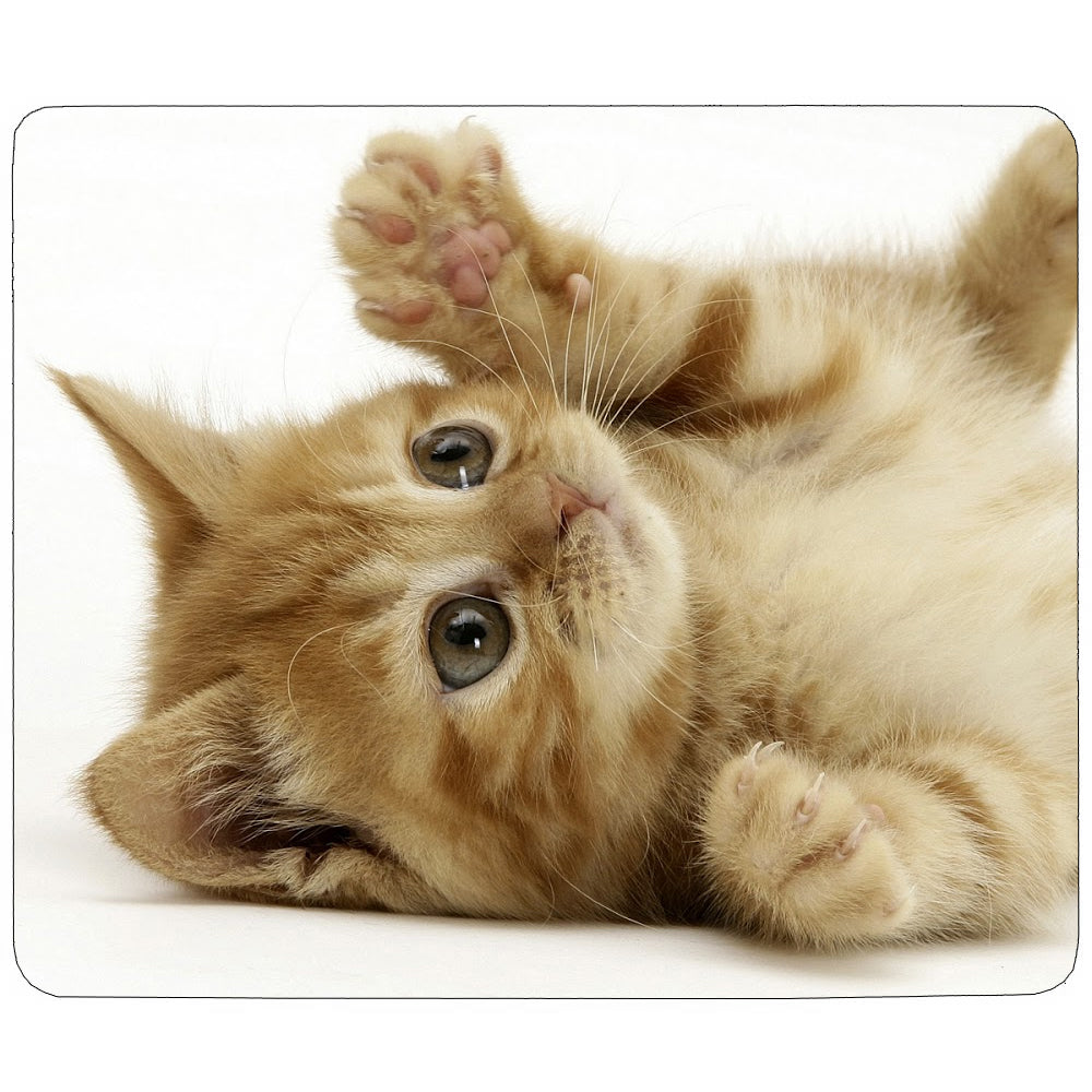 PixMax Sublimation Mouse Mats (10 Pack) F1