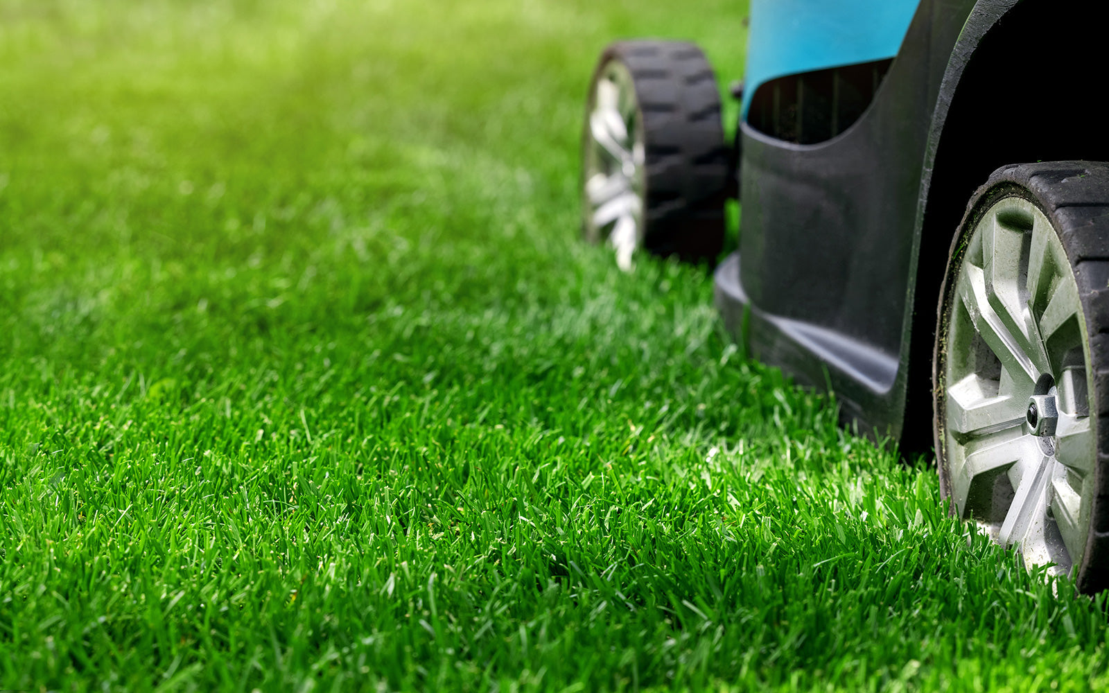 Close-up of a lawn mower on vibrant green grass, showcasing the mower's black wheels and sleek design against the lush lawn texture