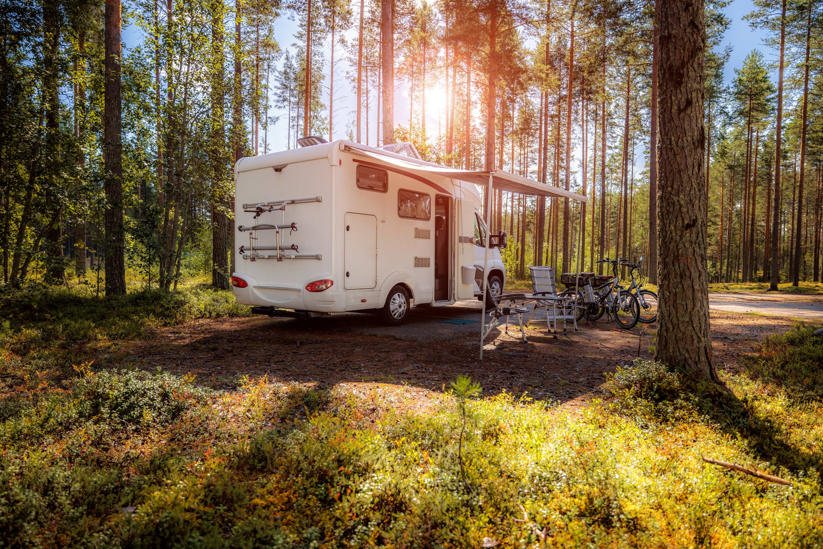 A white motorhome parked in a sunlit forest, surrounded by lush greenery, with bicycles and outdoor chairs set up nearby