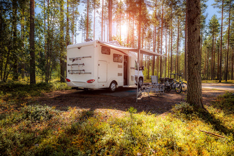 A white motorhome parked in a sunlit forest, surrounded by lush greenery, with bicycles and outdoor chairs set up nearby