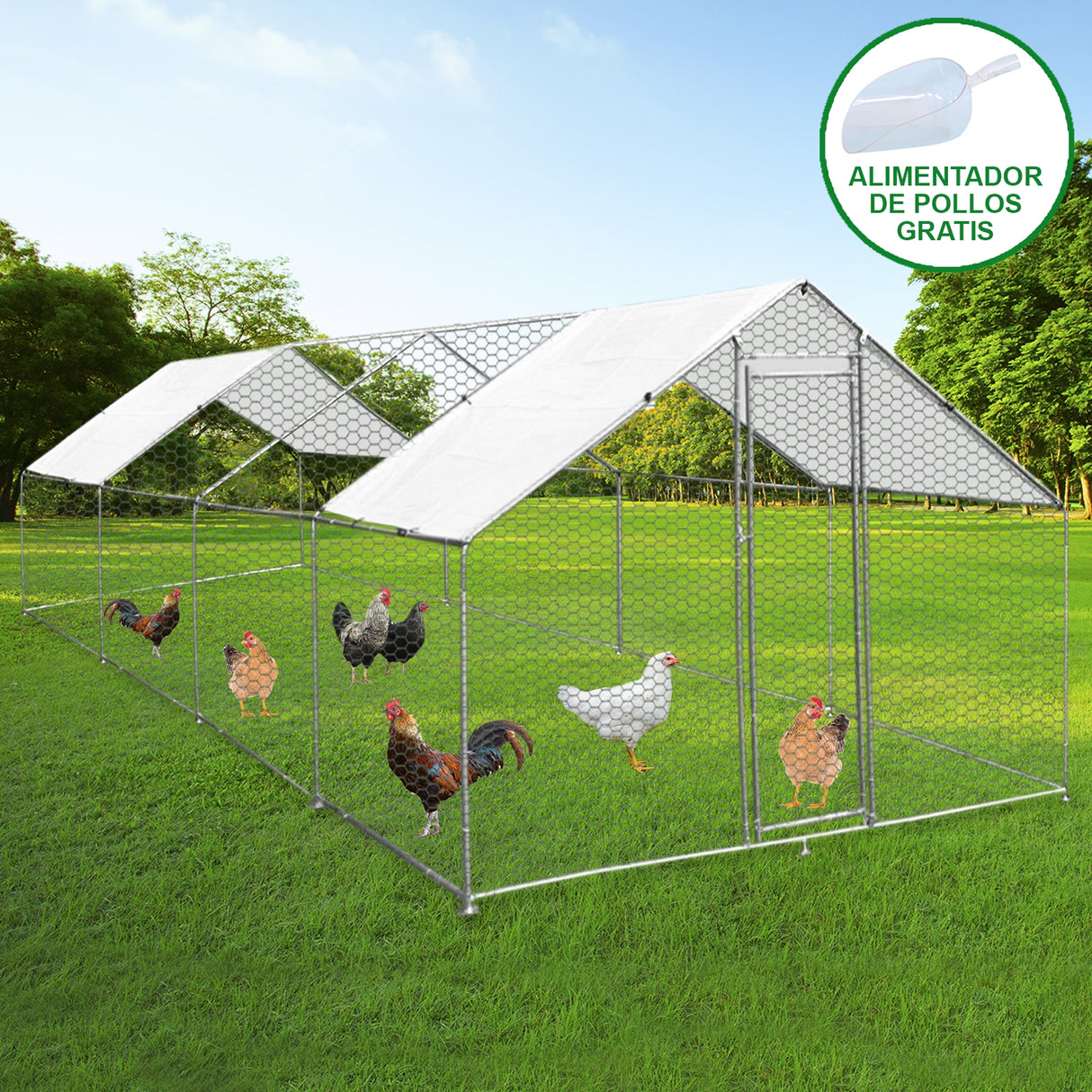 Chicken Run 4m x 8m x 2m