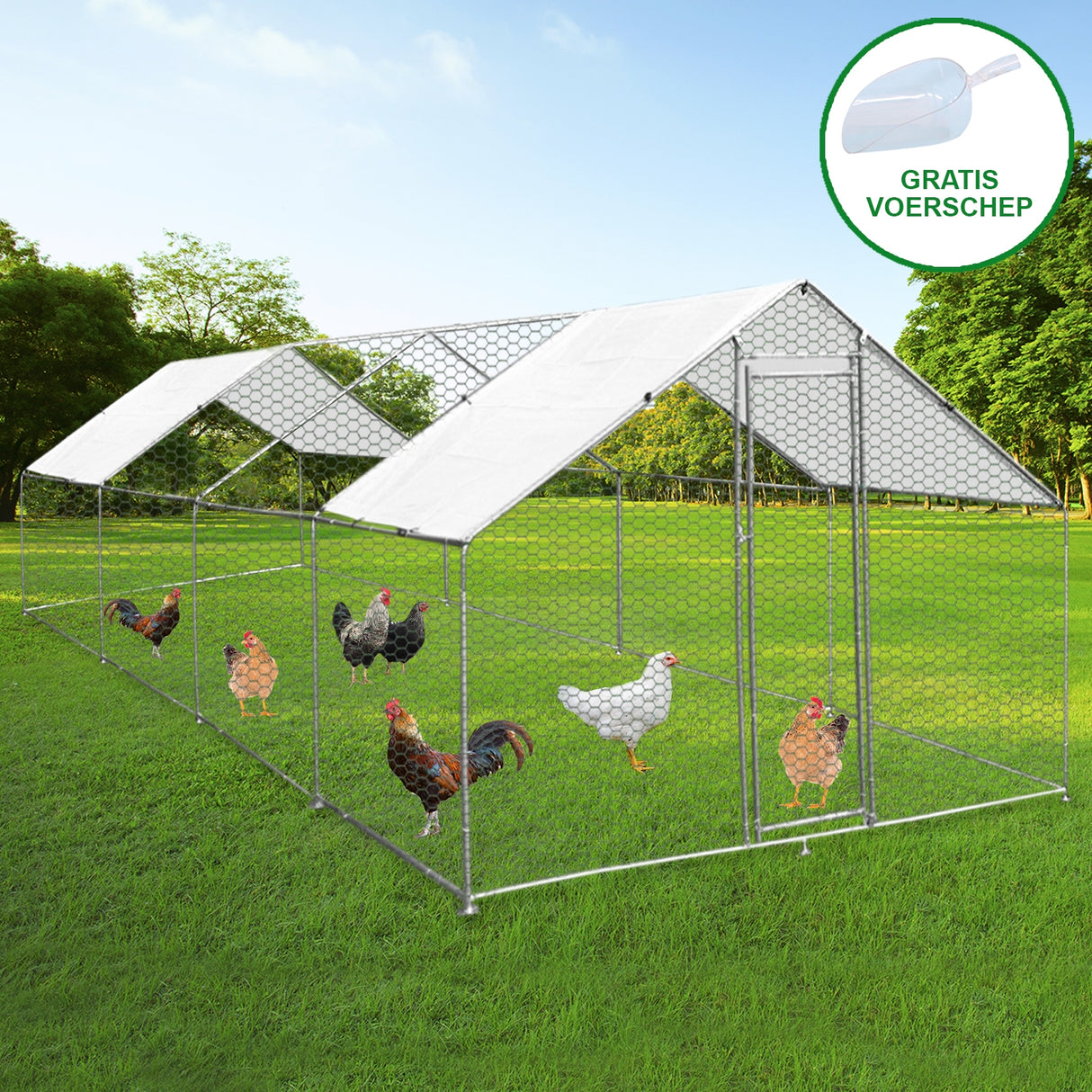 Chicken Run 4m x 8m x 2m