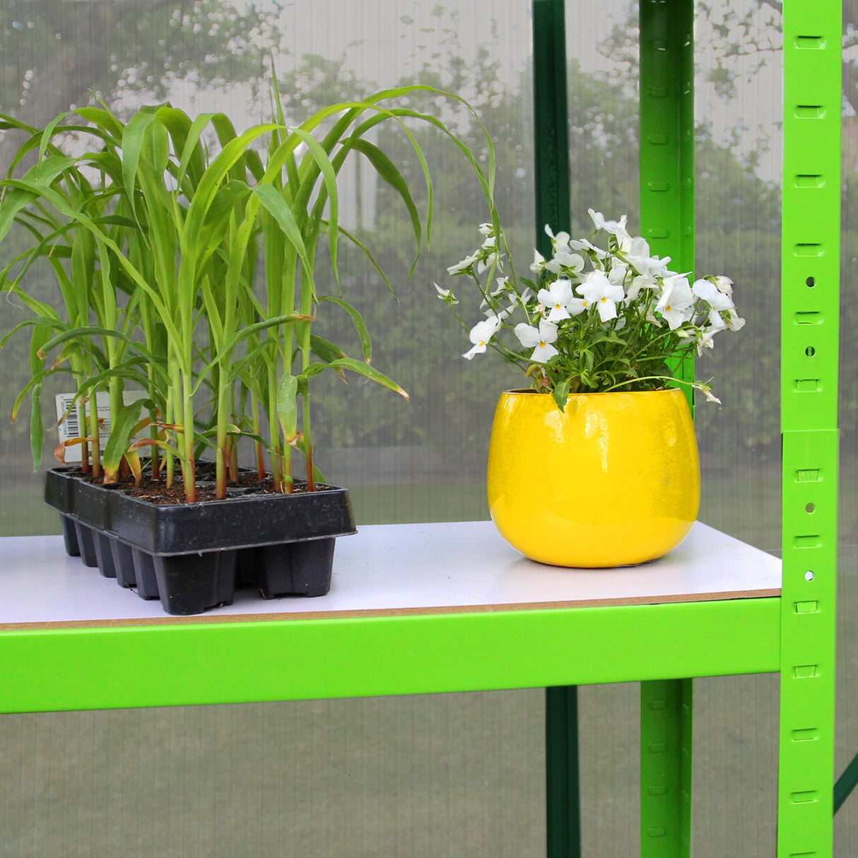 Greenhouse Polycarbonate 6ft x 6ft With Base (Green)